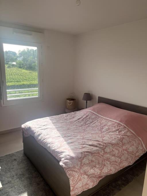 T3 Avec Belle Vue Appartement